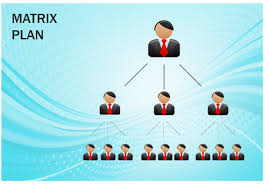 Team Management